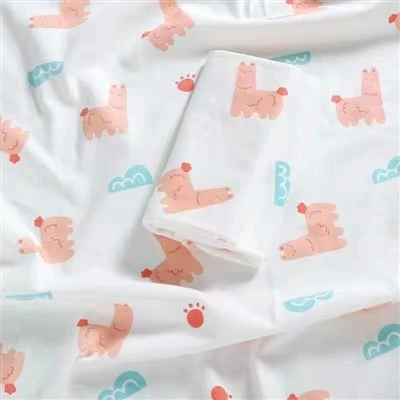 Baby Sleeping Blanket