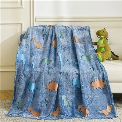 Custom Logo Dinosaur Blanket
