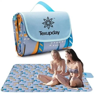 Disney Picnic Blanket