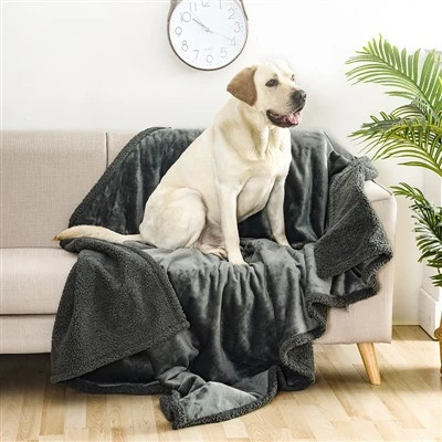 Pet Throw Blanket