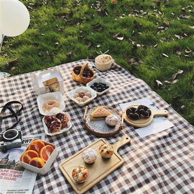100% acrylic blanket and picnic mat