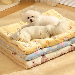 Soft And Fluffy Pet Blanket